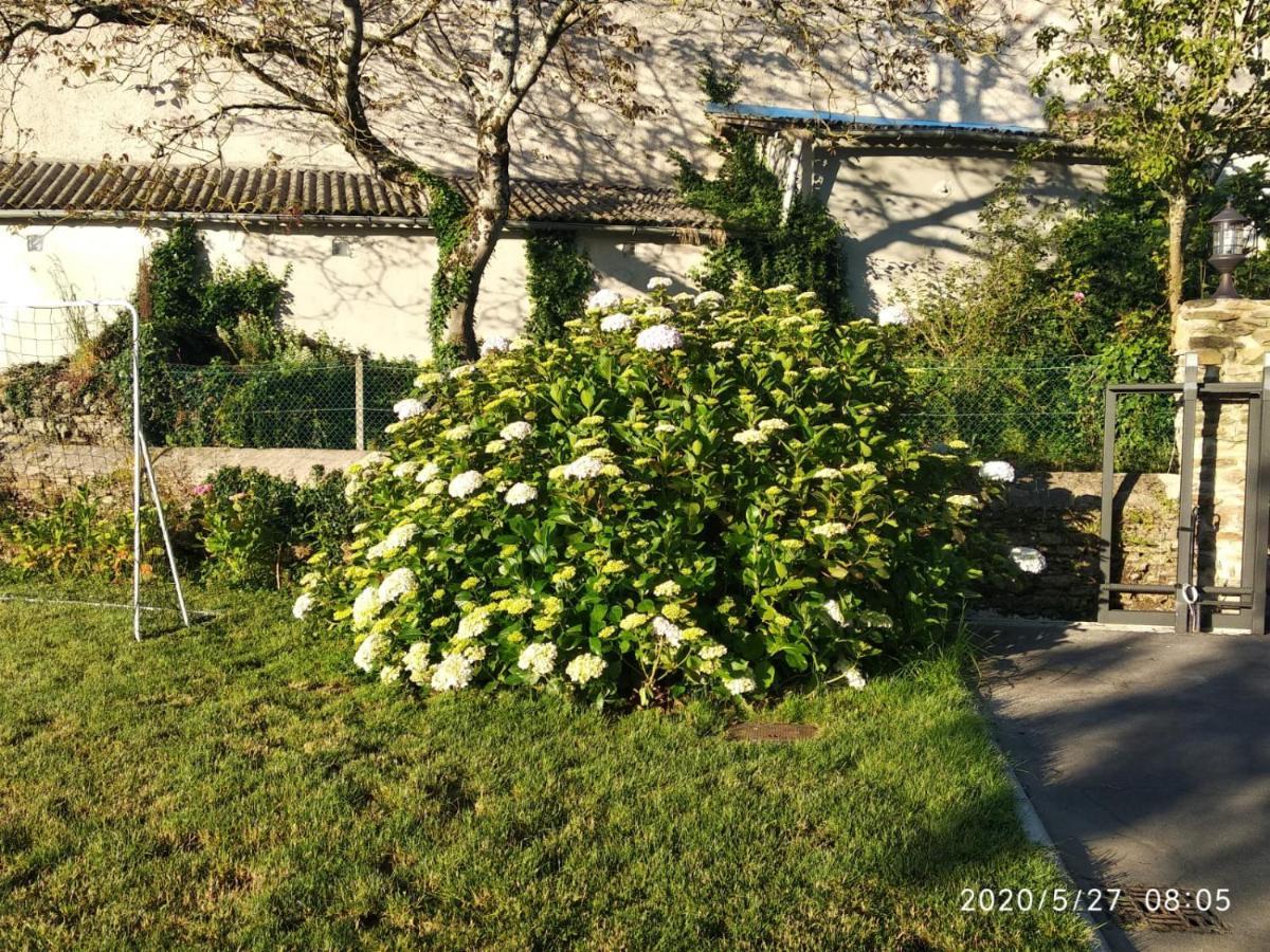 Casa Hortensia 萨拉斯 外观 照片